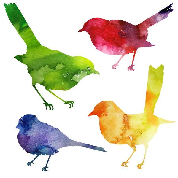 Birds Silhouette. watercolor painting. — Stock Vector