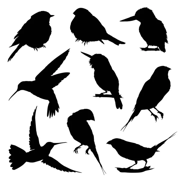 Silhouettes d'oiseaux - grand ensemble — Image vectorielle