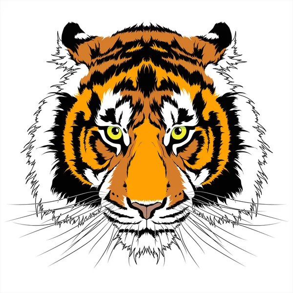 Tigris fej tetoválás Stock Illusztrációk
