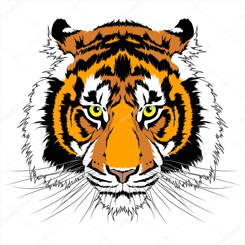 Tiger head tattoo