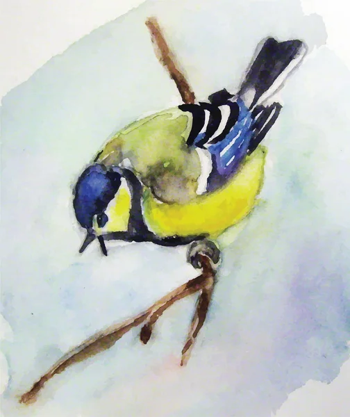 Estilo aquarela Titmouse . —  Vetores de Stock