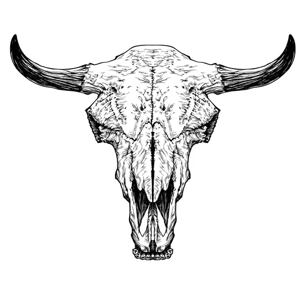 Bull auroch schedel met hoorns — Stockvector