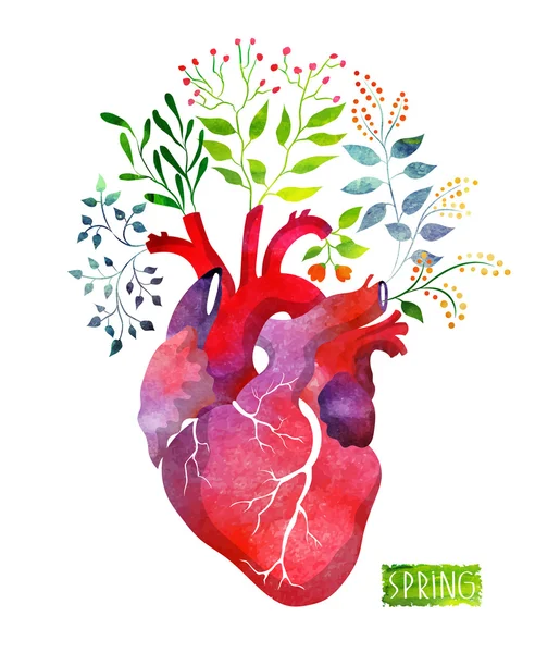 Bahar yaprakları ve çiçekleri ile suluboya kalp.