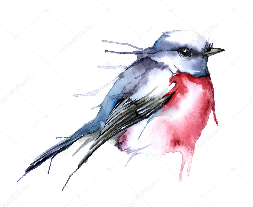 Watercolor style of bird.