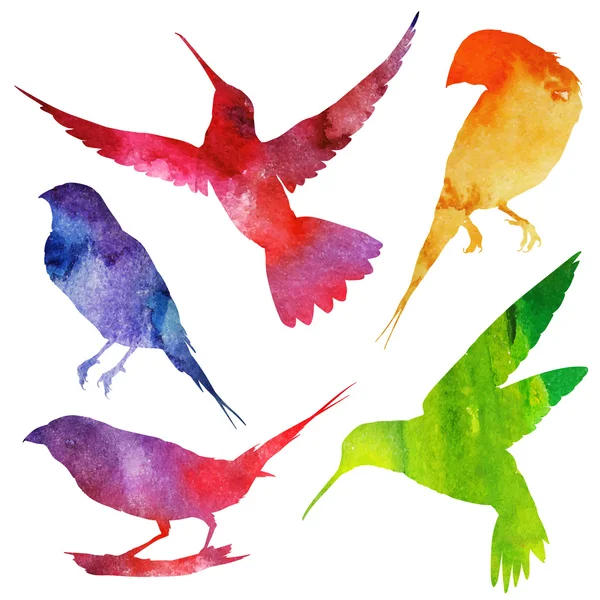 Siluety ptáků. Akvarel — Stockový vektor