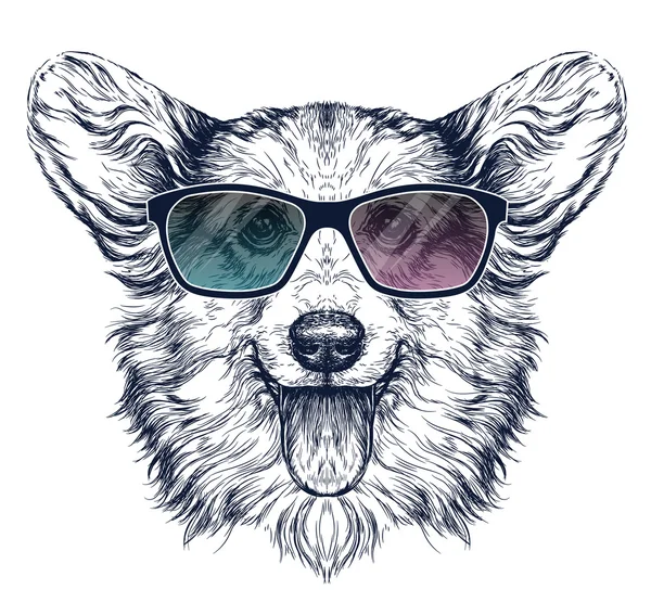 Komik Pembroke Welsh corgi köpek.