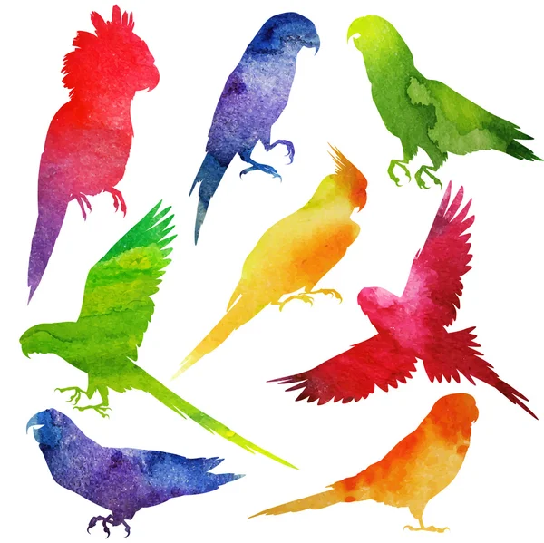 Parrot Silhouette set. watercolor illustration — Stock Vector