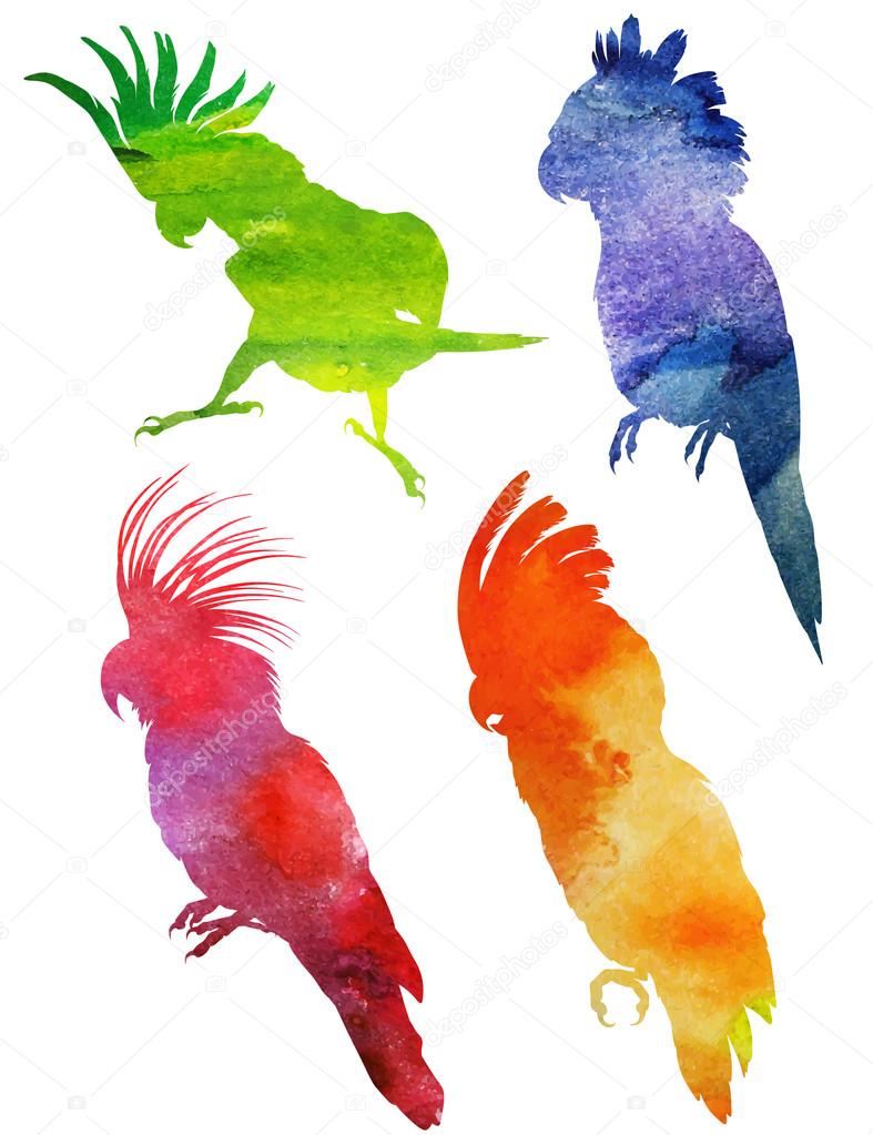 Parrot Silhouette set. watercolor illustration