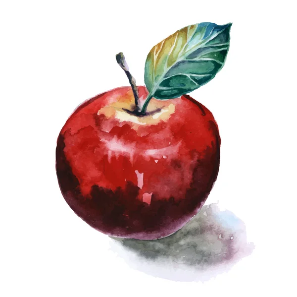 Akwarela malarstwo Apple — Wektor stockowy