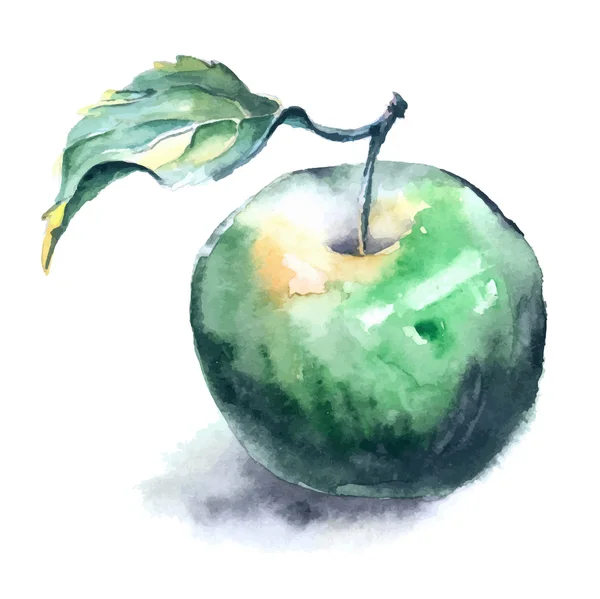 Aquarellmalerei von Apfel — Stockvektor