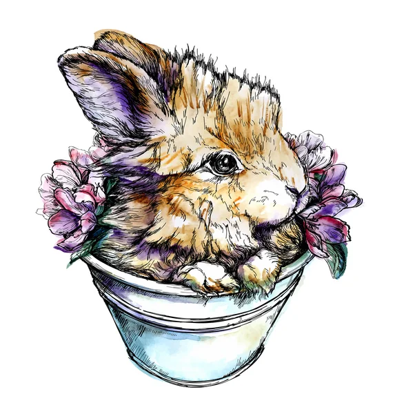 Иллюстрация кролика. Рисунок — стоковый вектор