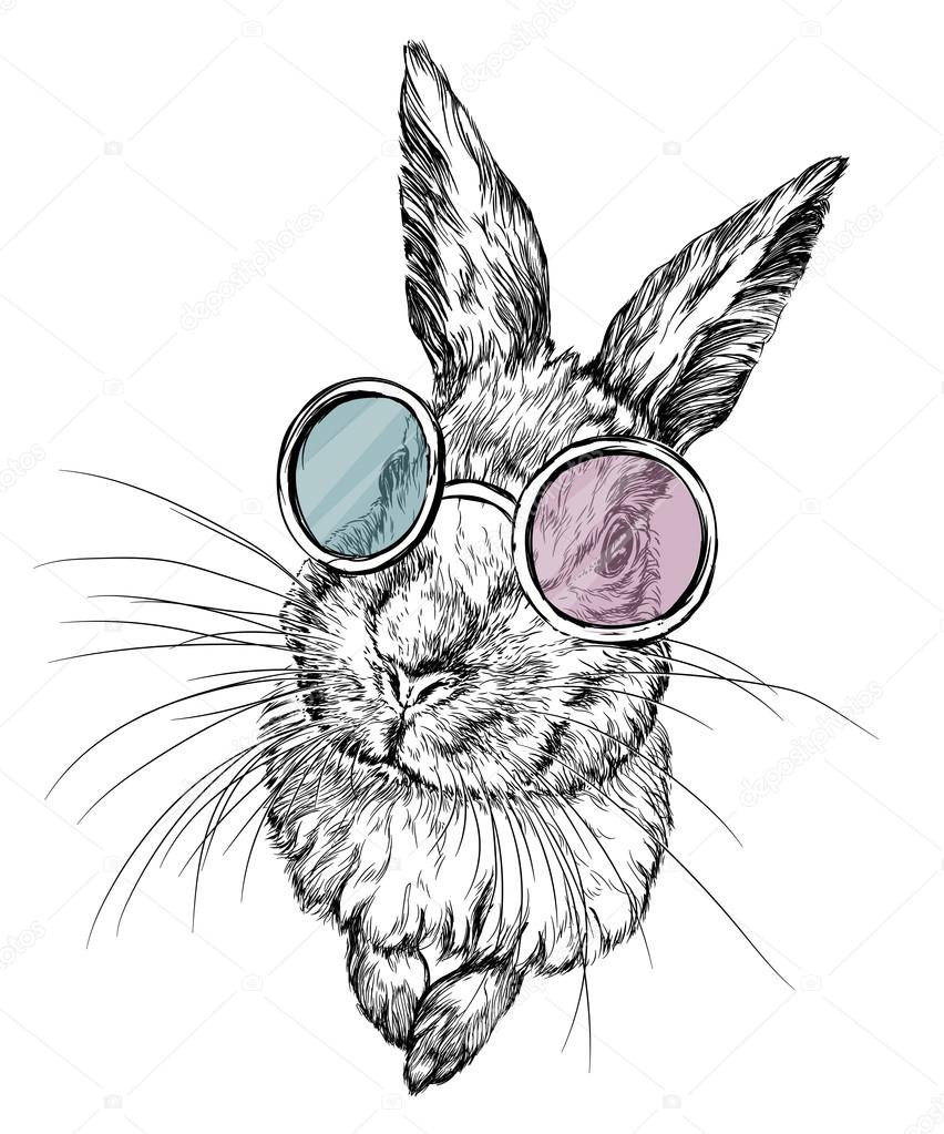 Hand drawn rabbit in glasses
