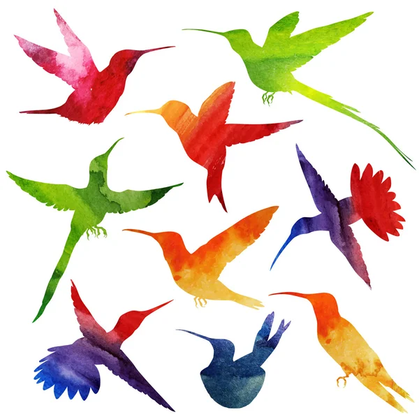 Kolibříci silueta. Akvarel ilustrace — Stockový vektor