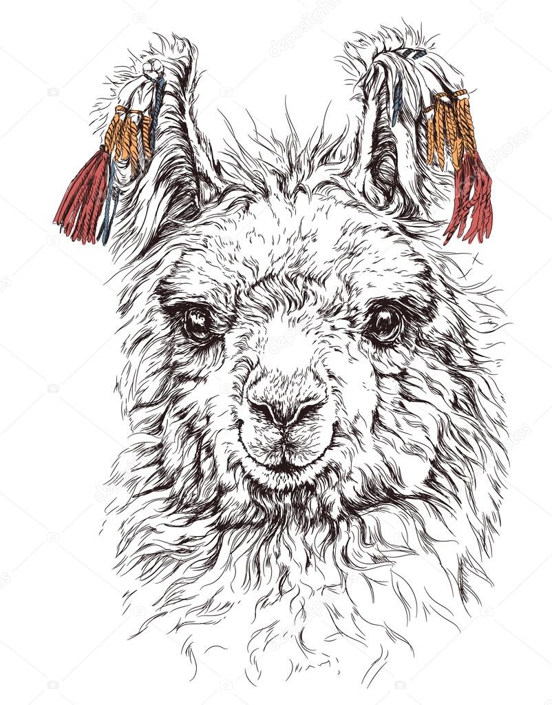 Realistic sketch of LAMA Alpaca