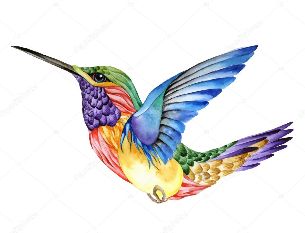 Hummingbird tattoo, watercolor painting on white