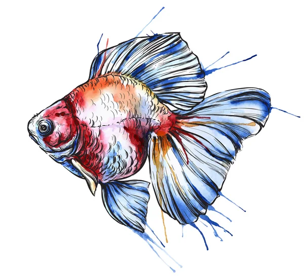 Hermosa acuarela Goldfish — Vector de stock