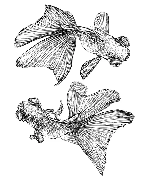 Hand drawn Goldfish set — стоковий вектор