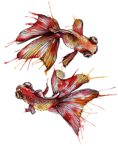 Ensemble aquarelle poisson rouge — Image vectorielle
