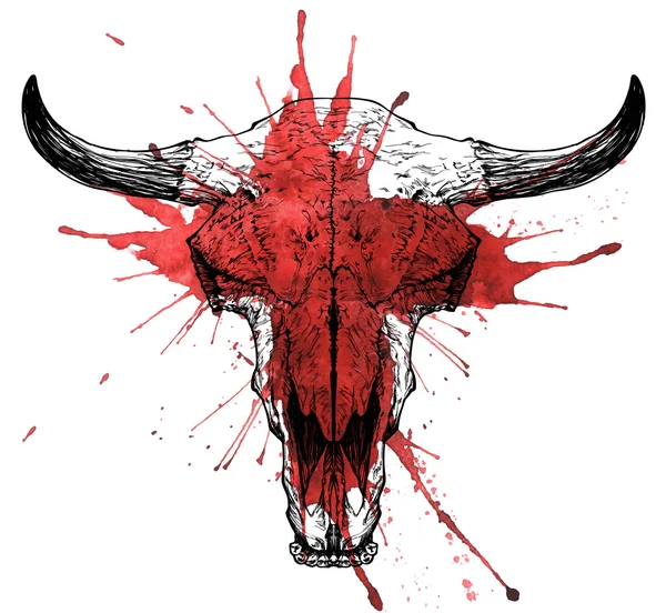 Bull bloody skull — Stock Vector