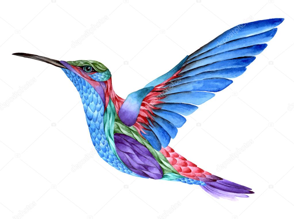 Hummingbird tattoo, watercolor painting. Isolated on white