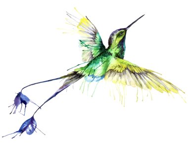 Watercolor sketch of a hummingbird. Vector illustration stock vector
