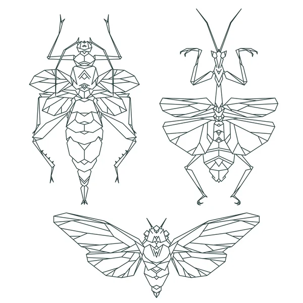 Insect icons set — Stockvector