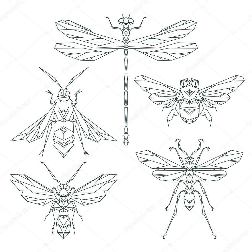 Insect icons, vector set. Abstract triangular style.