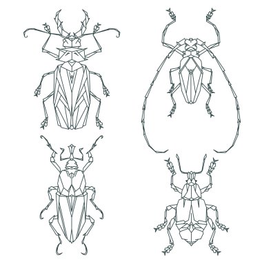 böcek Icons set