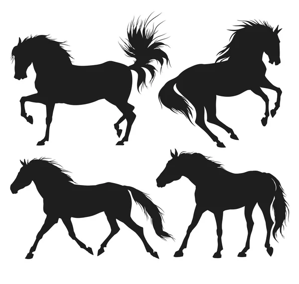 Sziluettjét fekete lovak — Stock Vector