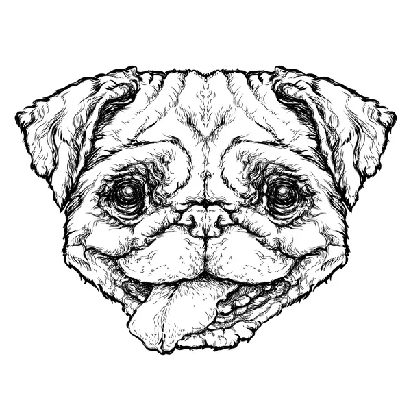 Funny Pug dog. — Stock Vector