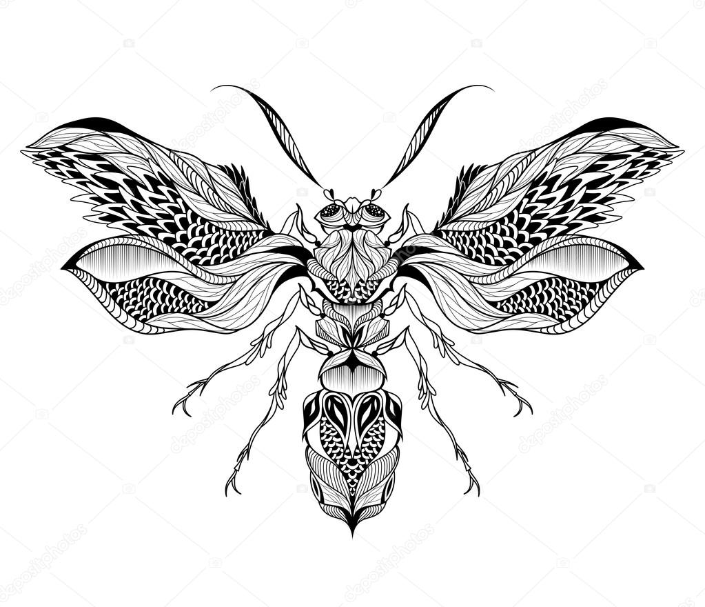 Hand Drawn Wasp Isolated On White Vector Illustration In Sketch Style Stock  Illustration - Download Image Now - iStock