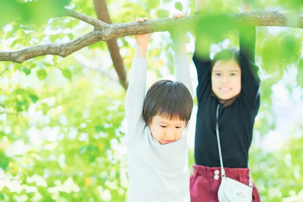 Deux Enfants Suspendus Une Branche Arbre Beau Jour — Photo
