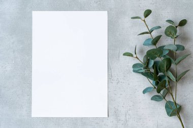 Beton bir düzleme yerleştirilmiş beyaz kağıt ve bitkiler