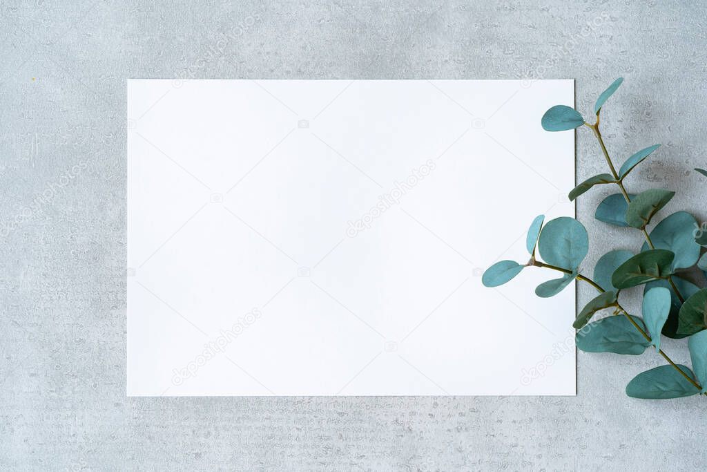 White paper and plants placed on a concrete plane