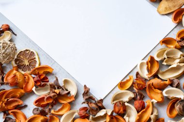 Beton bir düzleme yerleştirilmiş beyaz kağıt ve kurumuş bitkiler.