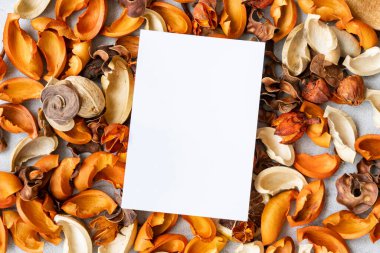 Beton bir düzleme yerleştirilmiş beyaz kağıt ve kurumuş bitkiler.