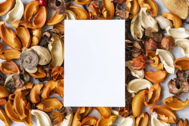 Beton bir düzleme yerleştirilmiş beyaz kağıt ve kurumuş bitkiler.