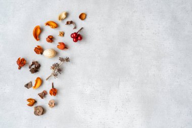 Beton tahtadaki kurumuş çiçeklerden oluşan alanı kopyala