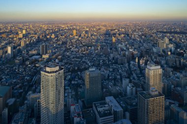 Japonya 'daki Tokyo şehrinin akşam manzarası