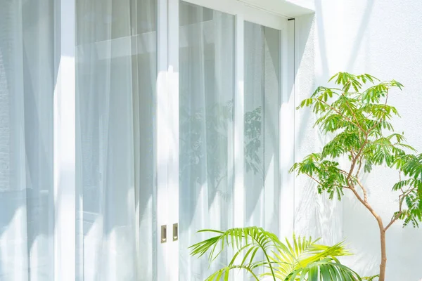 晴れた日にはヴェランダの植物や白いカーテン — ストック写真