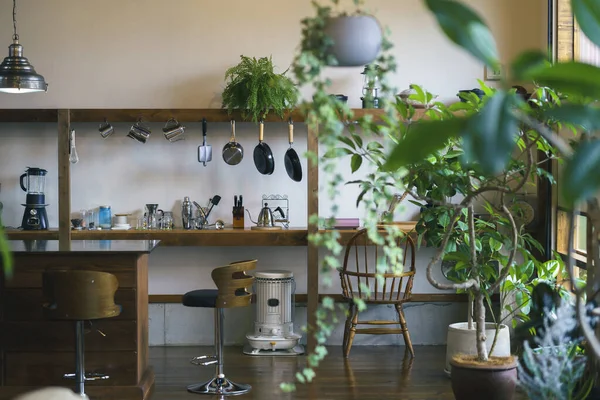 Interior Calmo Espaço Cozinha Com Plantas Folhagem — Fotografia de Stock