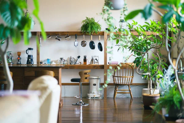 Interior Calmo Espaço Cozinha Com Plantas Folhagem — Fotografia de Stock
