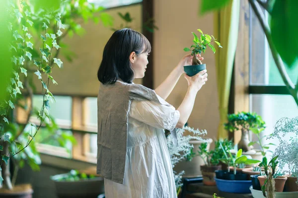 Young Woman Looking Foliage Plants Smile — Stock Photo, Image