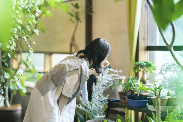 Young Woman Looking Foliage Plants Smile — Stock Photo, Image