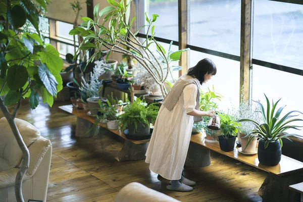 笑顔で観葉植物を見ている若い女性 — ストック写真