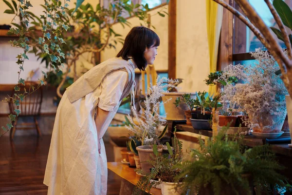 Young Woman Looking Foliage Plants Smile — Stock Photo, Image