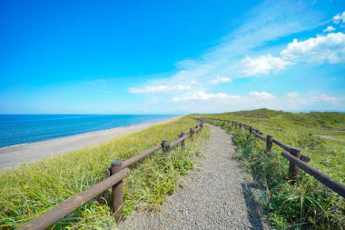 Deniz kenarındaki çayır ve güneşli yaz gökyüzü güzel bir günde