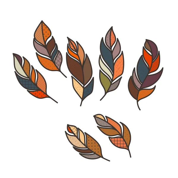 Ensemble de plumes complexes décorées de vecteurs. Doodle. Zentangle — Image vectorielle