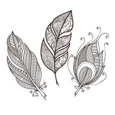 Süslü karmaşık tüy kümesi. Doodle. Zentangle