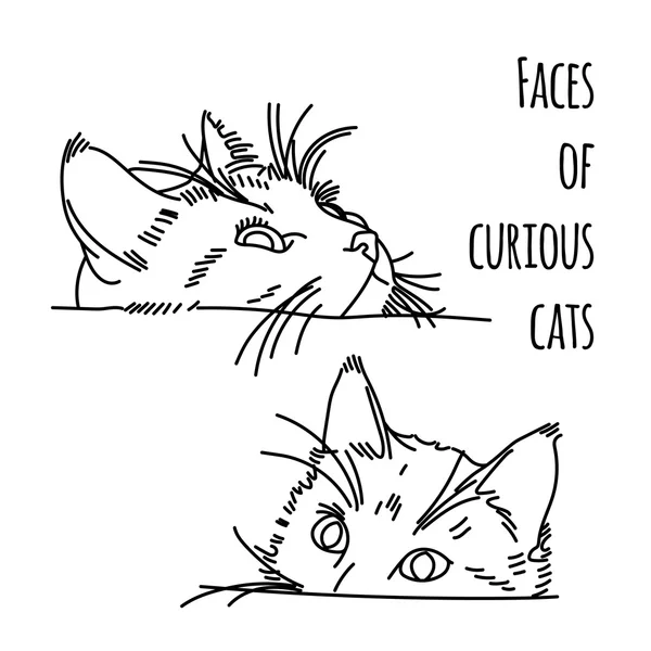 2 つの好奇心が強い猫グリグリのイラスト — ストック写真